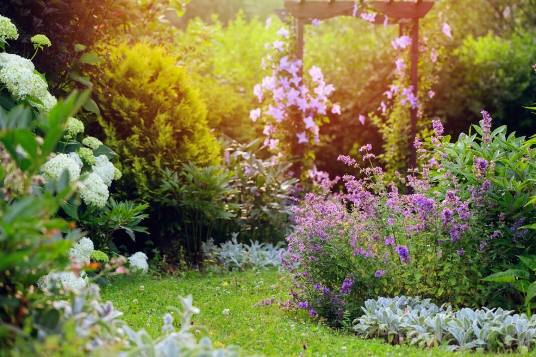 plantes tapissantes à utiliser au jardin