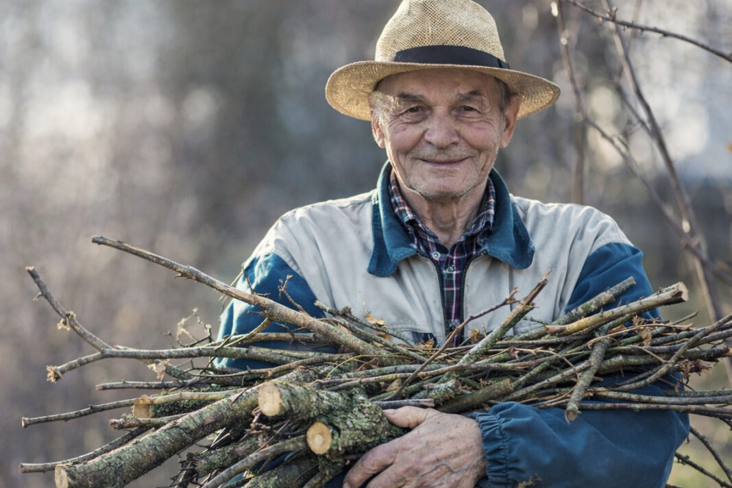 apres la tempete ne jeter pas vos branches d'arbre